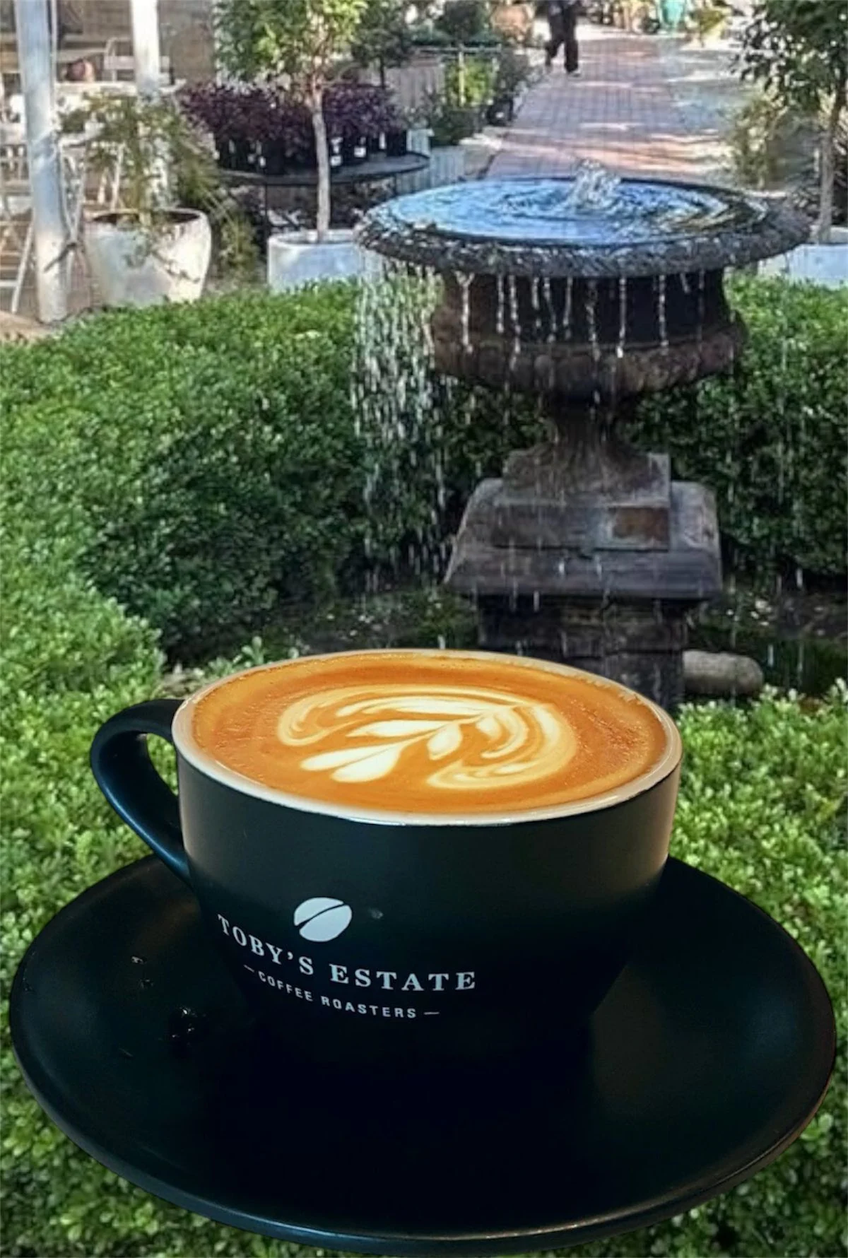 Coffee served in the garden at The Hills Grove