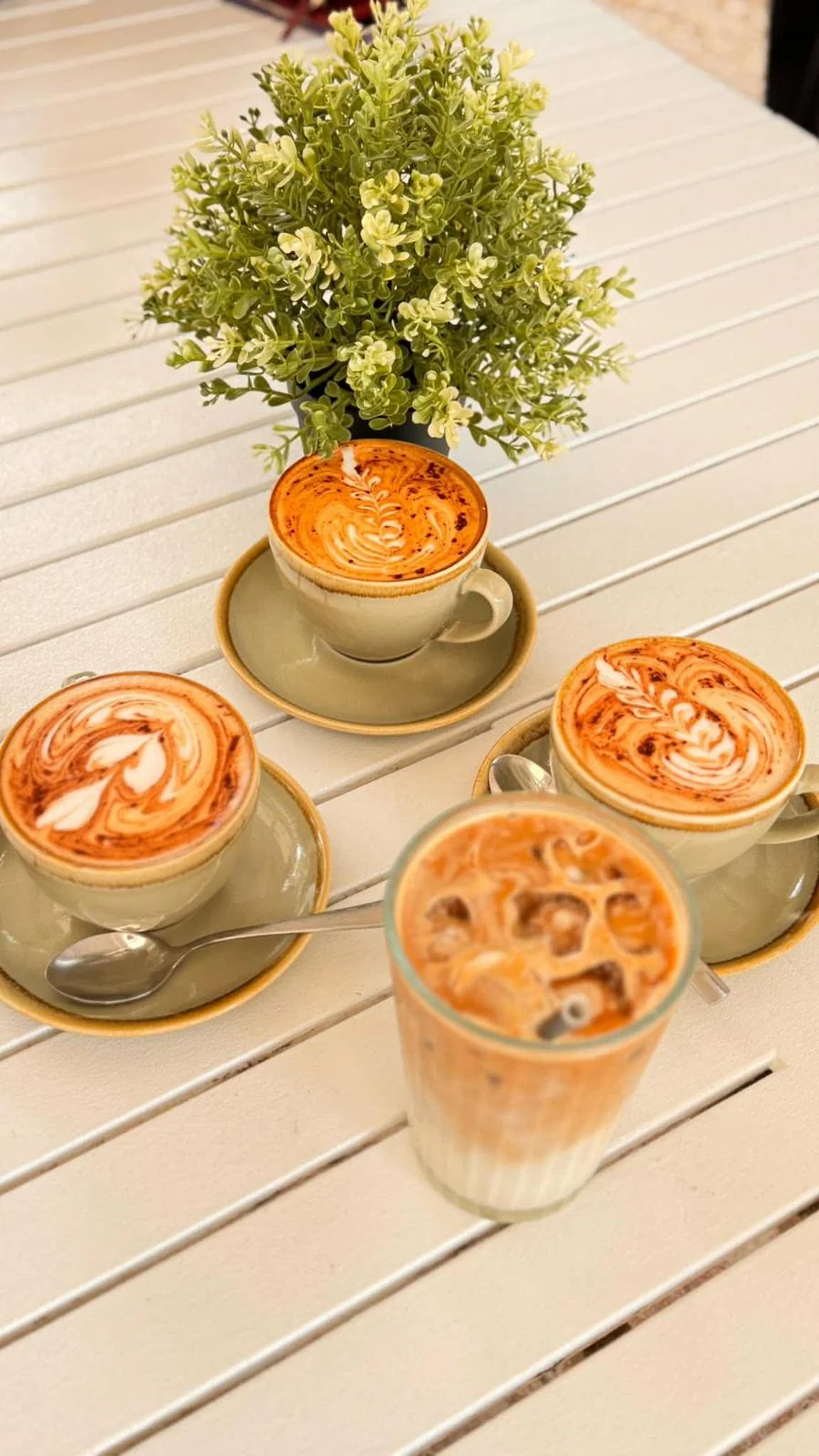 Iced coffees served at The Hills Grove